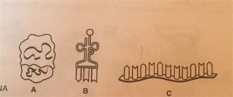 RNA Types 的图像结果