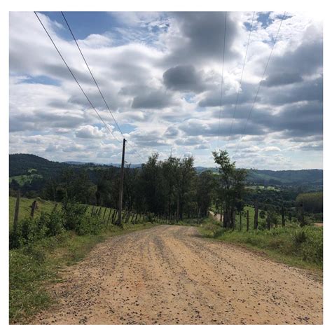 Pedro Bueno (@pedrodbueno) • Instagram photos and videos