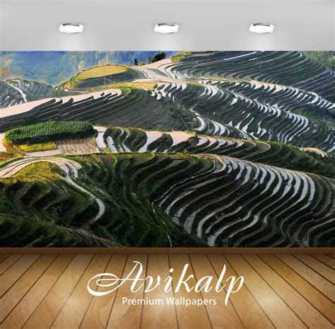 Avikalp Exclusive Awi1674 Stunning View Of The Rice Terrace Valley Ful ...