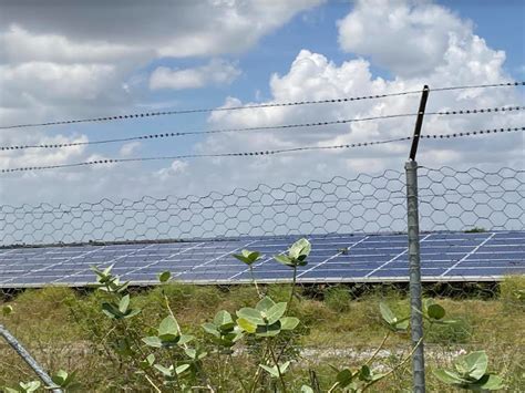 Unsettling Proliferation of Solar PV Waste Piles and What it Means for ...