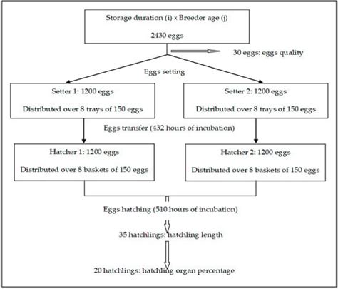Interactions between Egg Storage Duration and Breeder Age on Selected ...