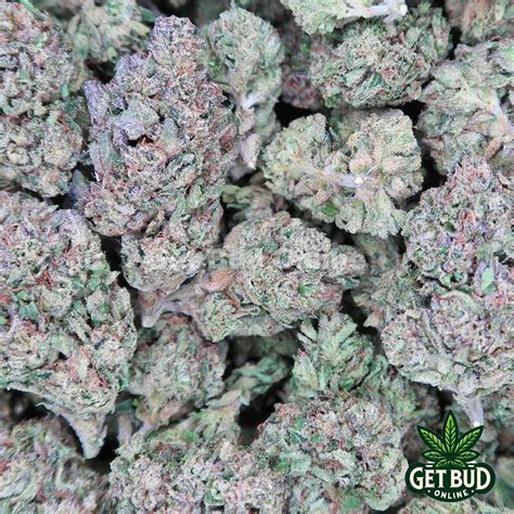 Lemon Cherry Haze (Value Bud) - Get Bud Online USA