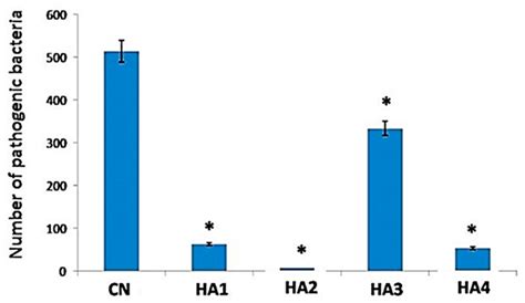 Hyaluronic Acid-Based Wound Dressing with Antimicrobial Properties for ...