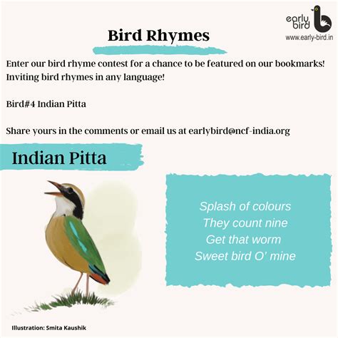Bird Rhyme Contest 2021 – Early Bird