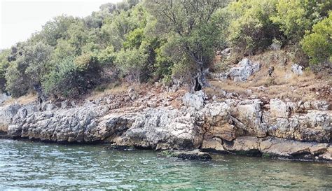 MUSSEL TOUR (2026) All You Need to Know BEFORE You Go (with Photos ...