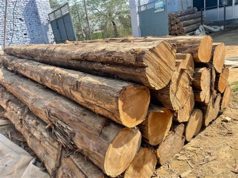 Patel Saw Mill - Manufacturer of Wooden Log & Timber Wood from Visnagar