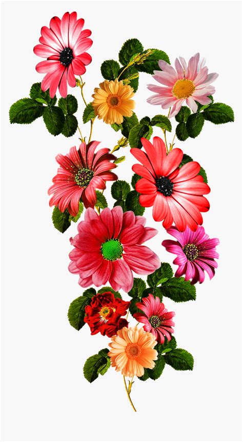Free Flower Vector Graphics 的图像结果