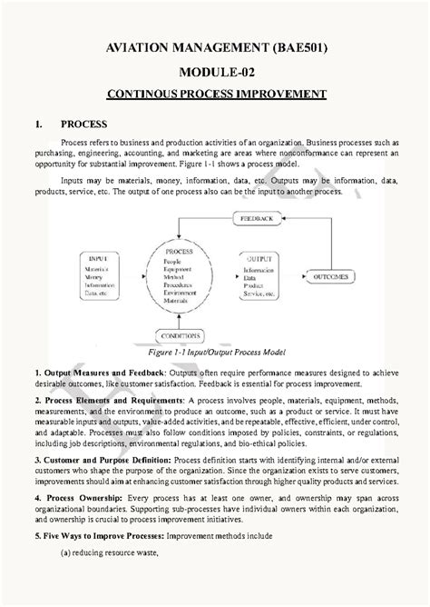 AVIATION MANAGEMENT (BAE501) - Business Application Software Overview ...