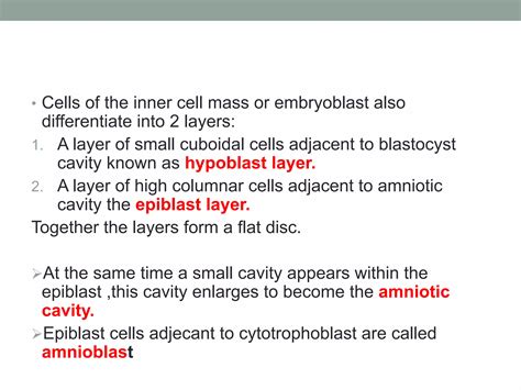 Image result for 2nd Week of Development