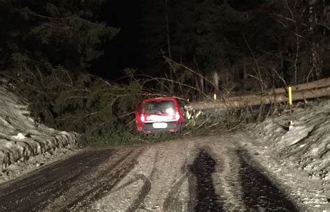 Mühlwald: Baum trifft fahrendes Auto - UnserTirol24