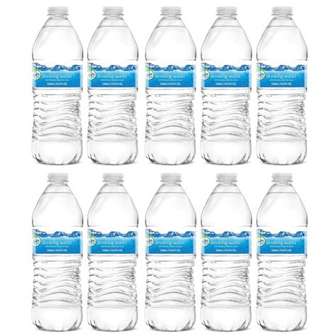 Buy Blue RibbonPurified Drinking Water 16.9 Fl Oz (Pack of 10, Total of ...