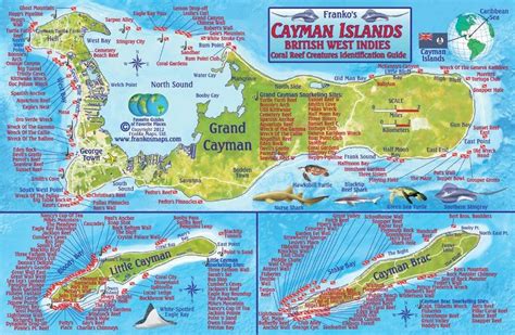 Cayman Islands Dive Map And Reef Creatures Guide Franko Maps ...