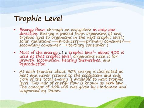 Ecosystem Flow Chart 的图像结果