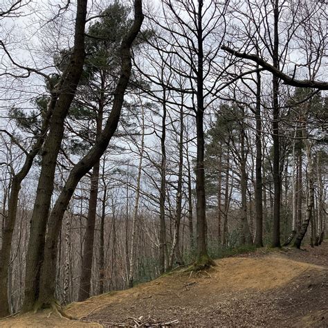 Oldbury Hill (Sevenoaks) - All You Need to Know BEFORE You Go