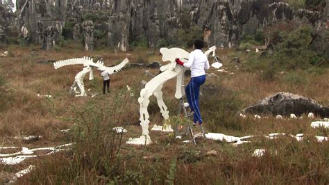 Watch The Amazing Race Season 18 Episode 5: Don't Ruin the Basketball ...