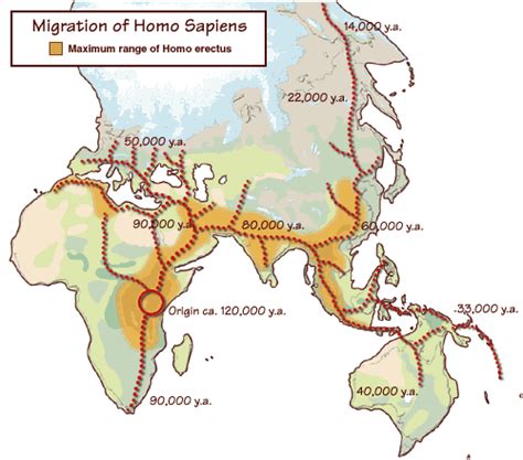 Human Migration Examples 的图像结果