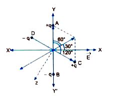 Two small identical electric dipoles AB and CD, each of dipole moment ...
