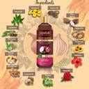 Lovelook Onion Hair Oil with 14 Essential Oils for Hair Regrowth ...