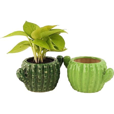 Leafy Tales Cactus Shape Ceramic Pot Set of 2, (Pot Only, Multicolour ...
