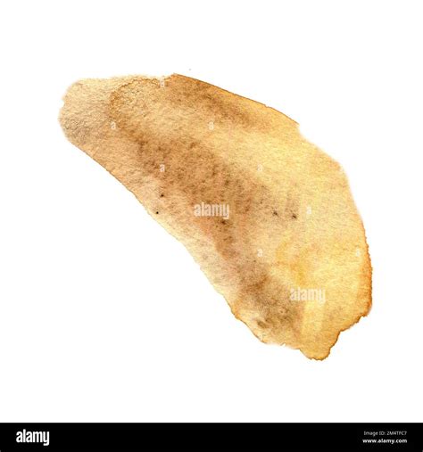 Brown watercolor paint stroke isolated on white background. Abstract ...