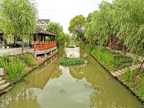 广陈镇深化水环境治理，助推美丽城镇建设