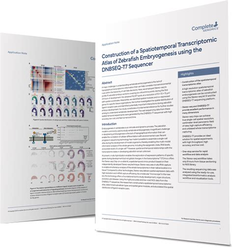 Spatial Transcriptomic Map 的图像结果