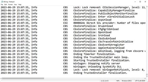 System File Checker Scan 的图像结果