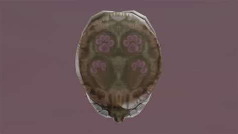 Image result for Blender Blob Tutorial