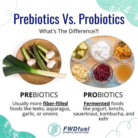 Prebiotic Foods Simple Tips For Adding Prebiotics To Some Of Your