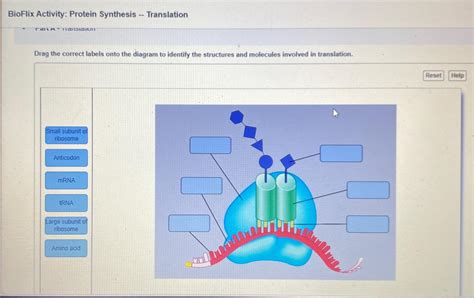 Image result for BioFlix Animation Muscle Structure