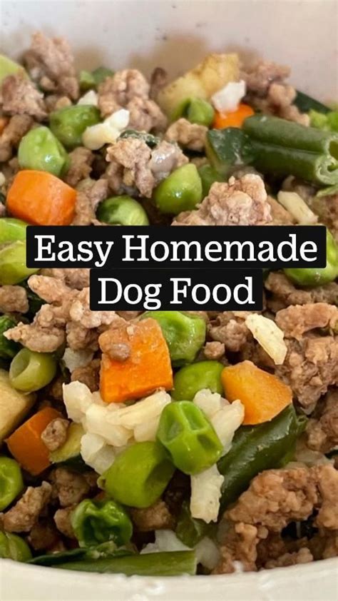 dog food healthy