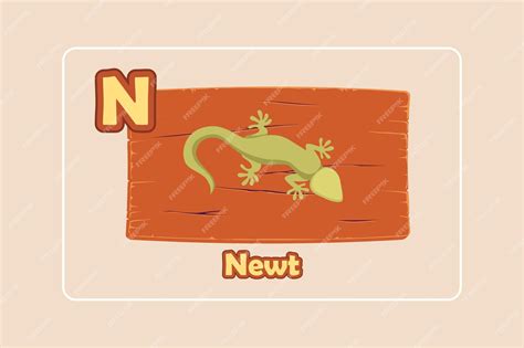 Premium Vector | Animal alphabet letter n english alphabet with cute ...