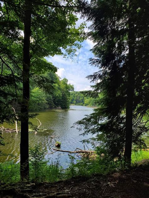Where History Meets Nature: Unlocking The Secrets Of Mill Creek State Park
