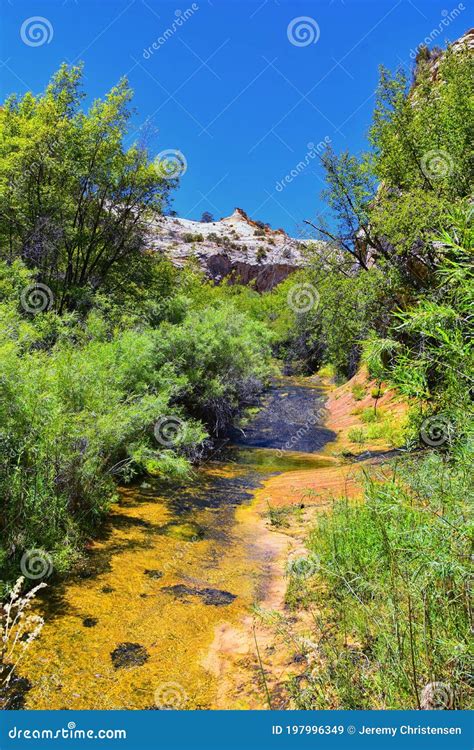 Upper Calf Creek Falls