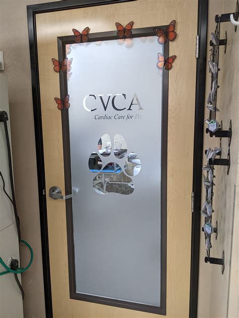 Southern Vet Partners – Vision Sign Group