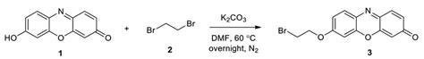Resorufin-Based Colorimetric and Fluorescent Probe for Selective ...