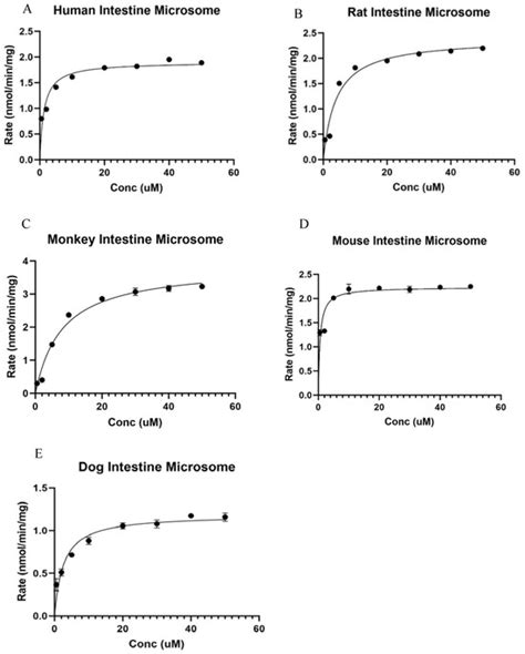 Species Differences in Ezetimibe Glucuronidation