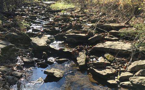 KILL CREEK PARK (2026) All You Need to Know BEFORE You Go (with Photos ...