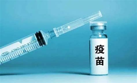 疫苗为什么是控制传染病的“灵丹妙药”？__中国医疗