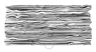 Image result for Wood Grain Texture Illustrator Tutorial