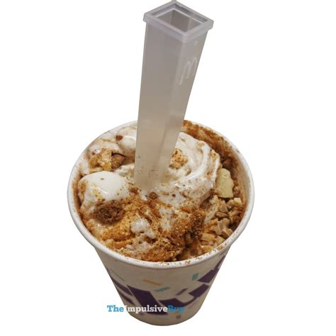 REVIEW: McDonald's Snickerdoodle McFlurry - The Impulsive Buy
