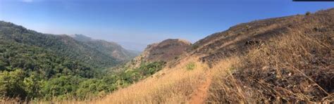 Z Point (Chikmagalur) - 2021 What to Know Before You Go (with Photos ...