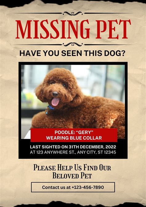 Lost Dog Poster