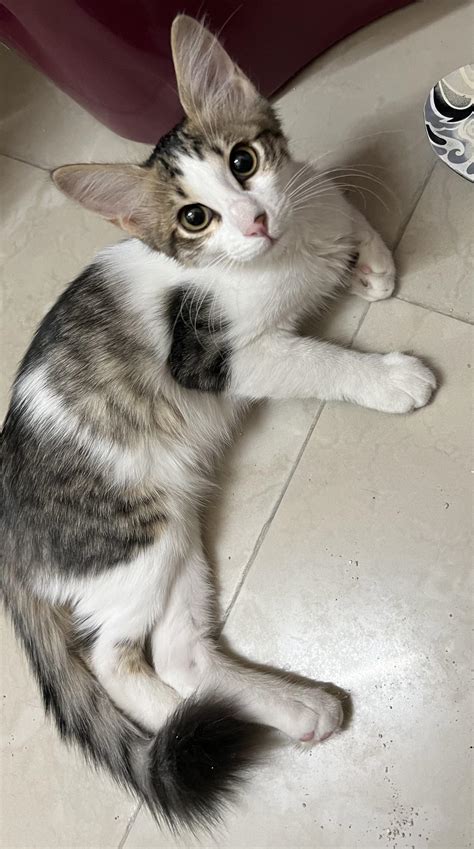 How long u lasting? : r/TikTokThotzZ