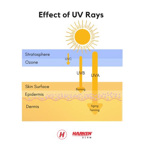 Are you wearing sunscreen today? | Communicating Science (2019w112)