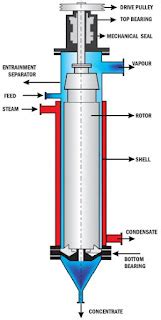 Image result for Explain the Mechanism of Urease Activity