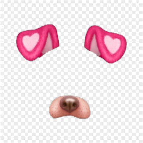 Snapchat Cute Pink Dog Puppy Filter PNG Image | Citypng