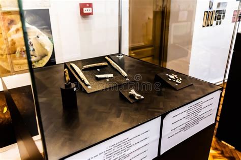 Human Evolution Technology 的图像结果