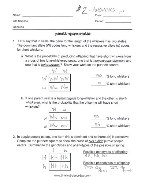 Punnett Square Practice Genetics | Heredity | Probability | Monohybrid