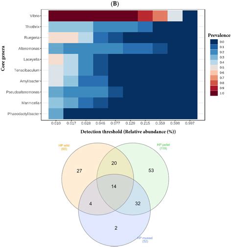 Characterisation of the Gut Bacteria of Cultured and Wild Spiny Lobster ...